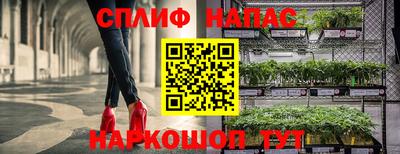 дурь Северобайкальск