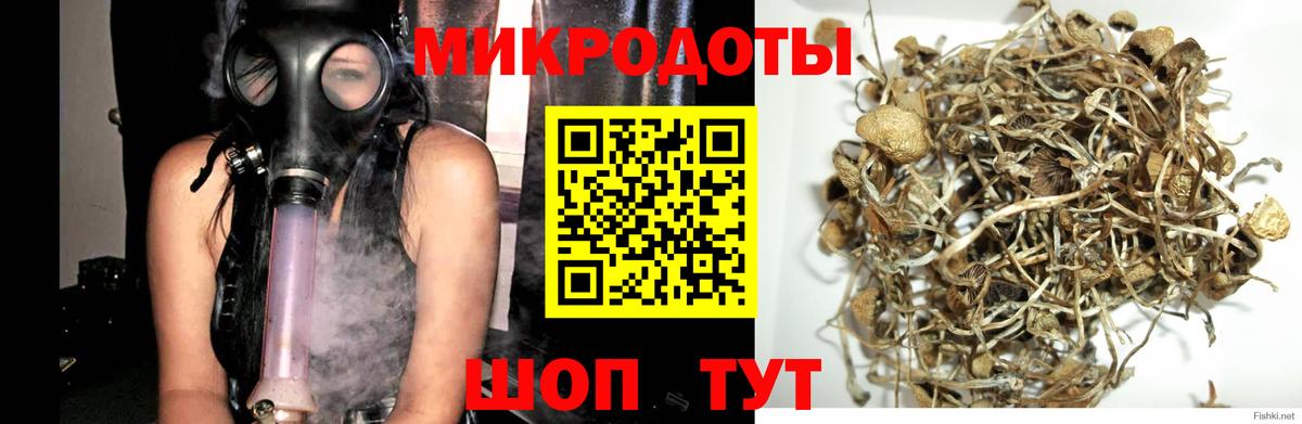 Галлюциногенные грибы Psilocybine cubensis Аша